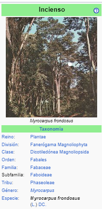 YVYRA PAJE – Myrocarpus frondosus